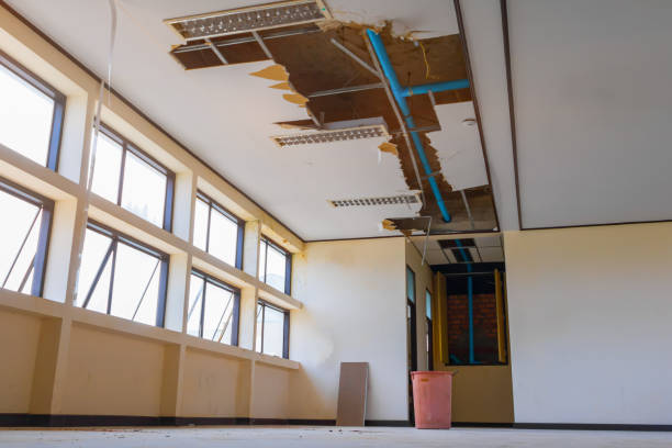 Best Residential water damage restoration  in Silver Lake, FL