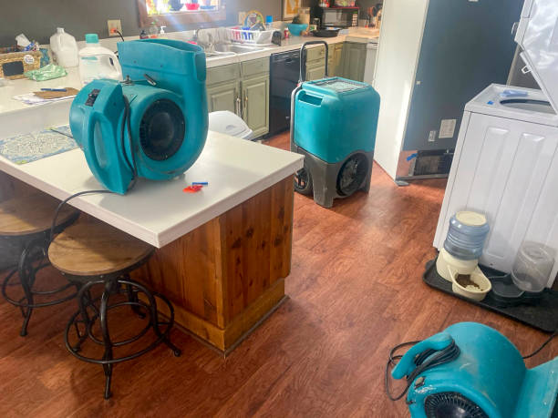  Silver Lake, FL Water damage restoration Pros