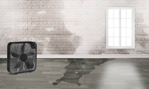 Professional Water damage restoration in Silver Lake, FL