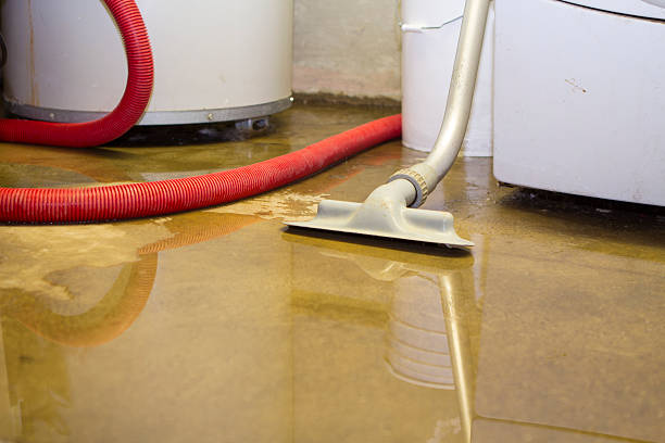 Best 24-hour water damage restoration  in Silver Lake, FL