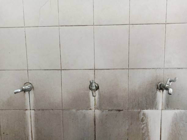Best Flood restoration services  in Silver Lake, FL