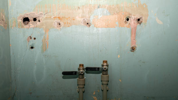 Best Professional water damage repair  in Silver Lake, FL