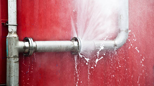 Best Water damage restoration near me  in Silver Lake, FL